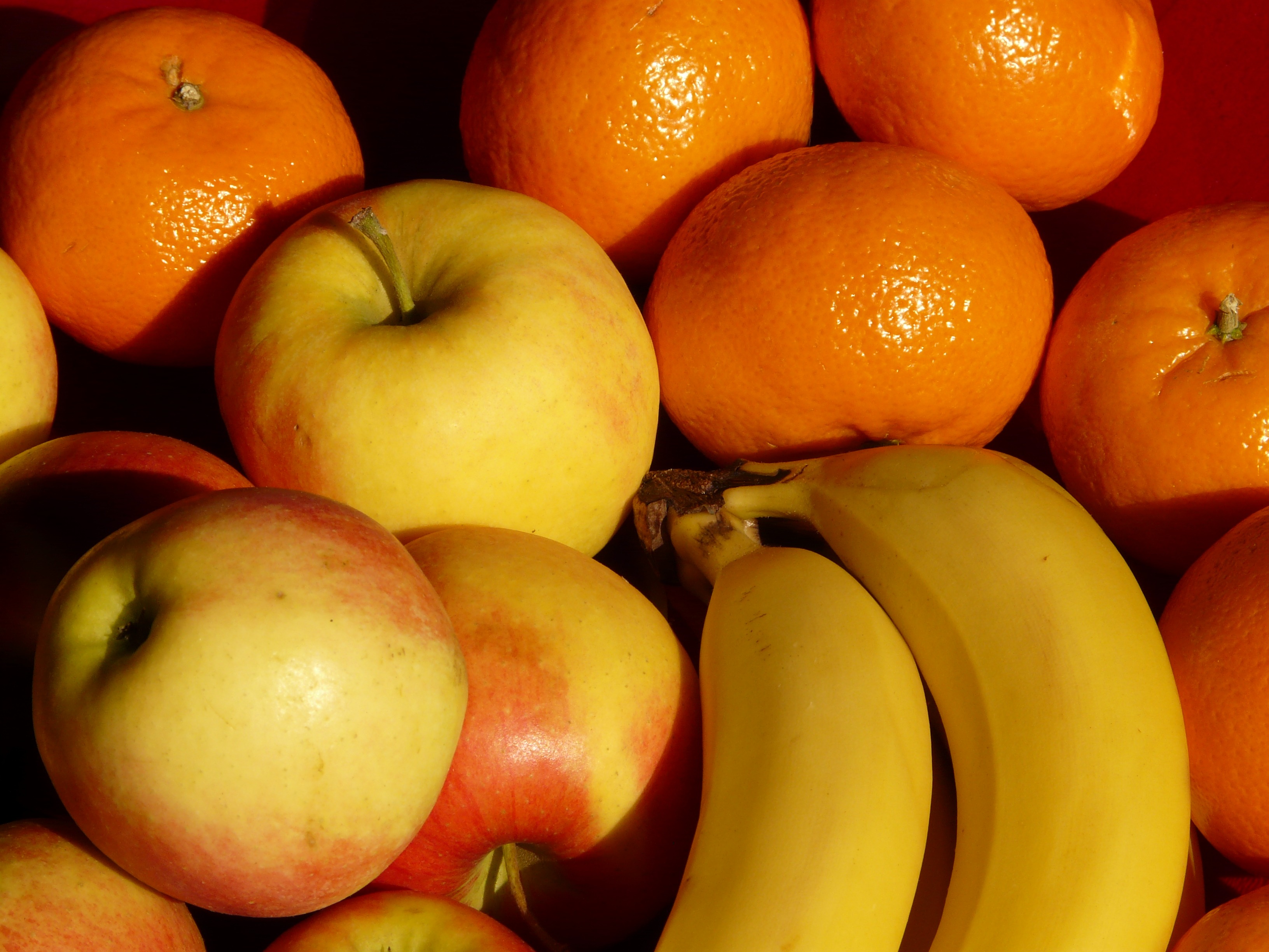 Colorful oranges apple bananas and tangerines free image download