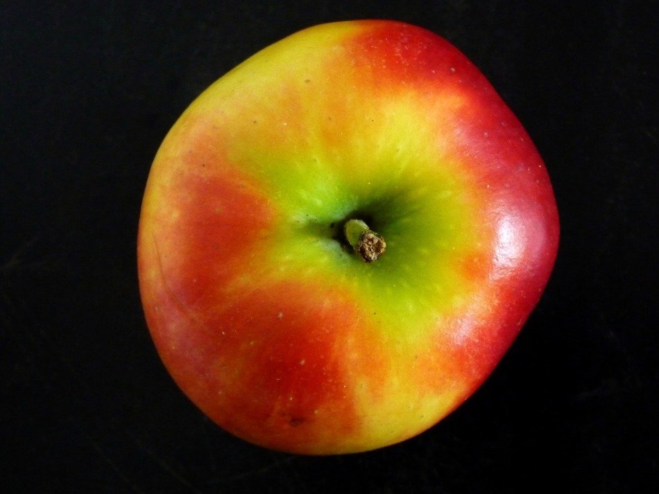 Apple fruit healthy free image download
