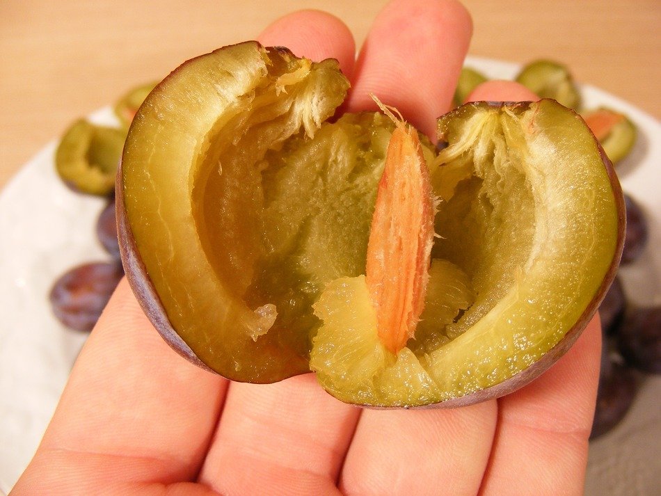 Plum cut in half free image download