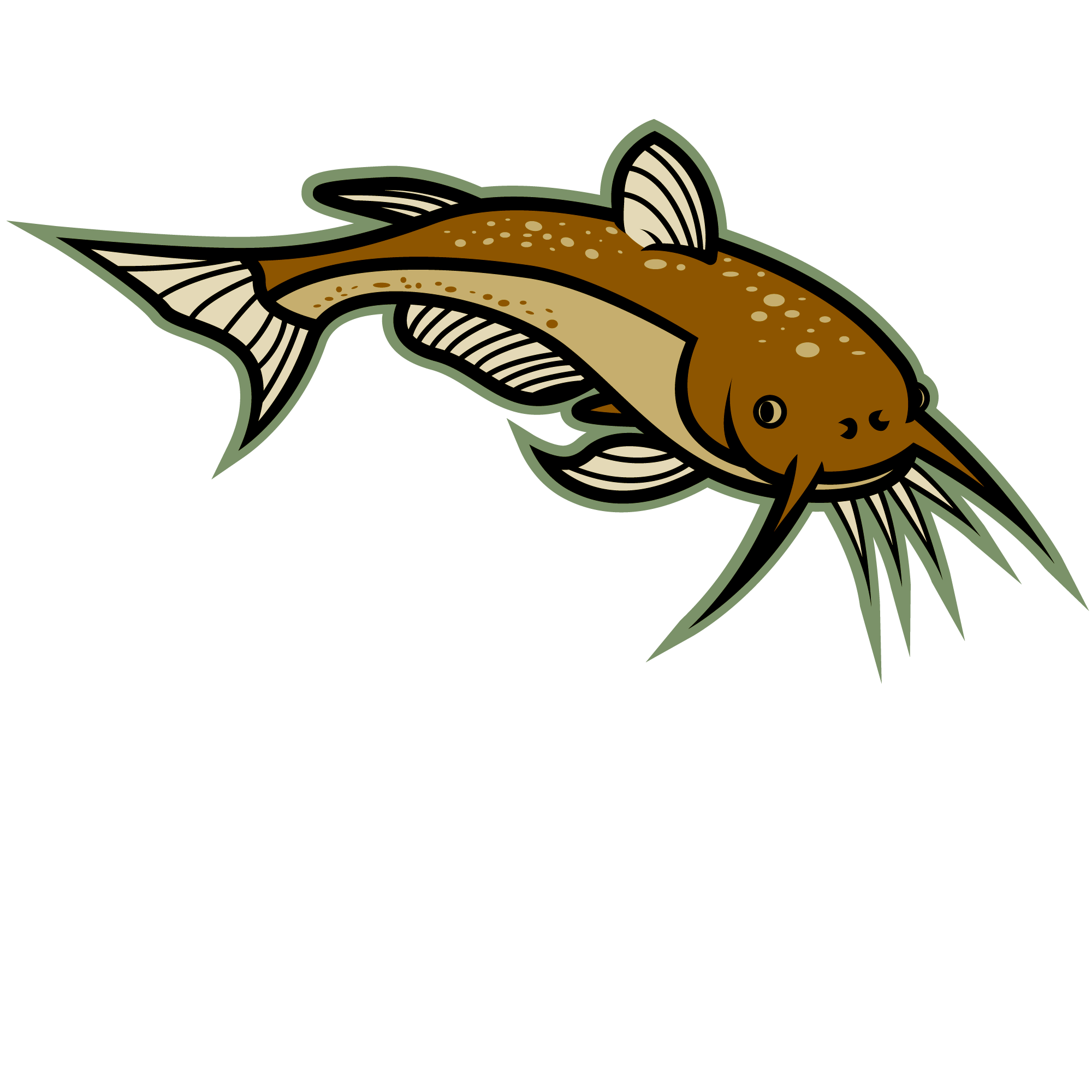 Cartoon Catfish N6 free image download