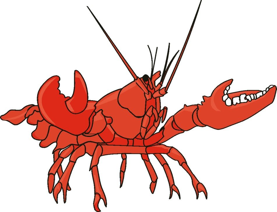 Red Lobster Clip Art drawing free image download