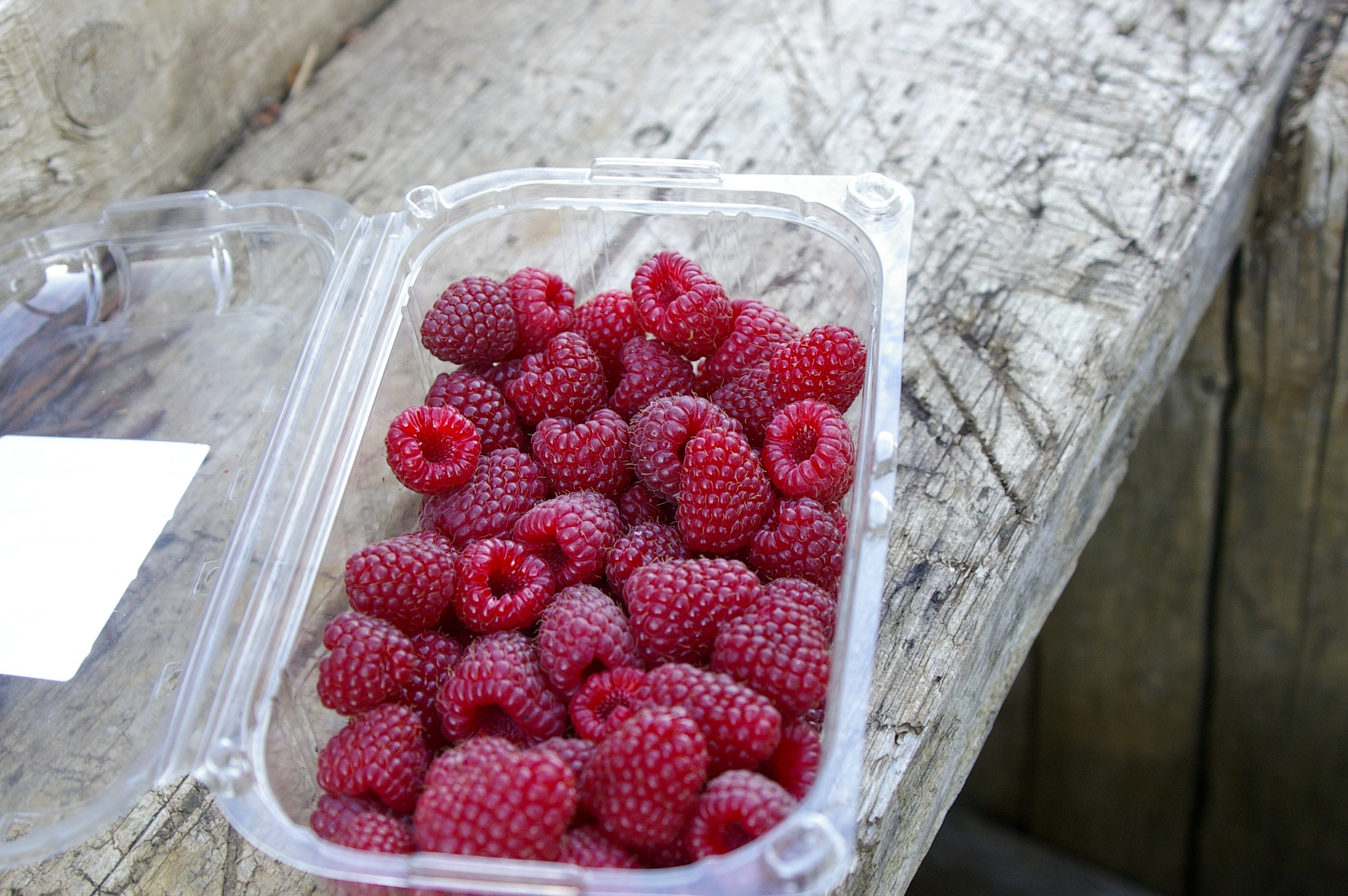 Raspberries summer free image download