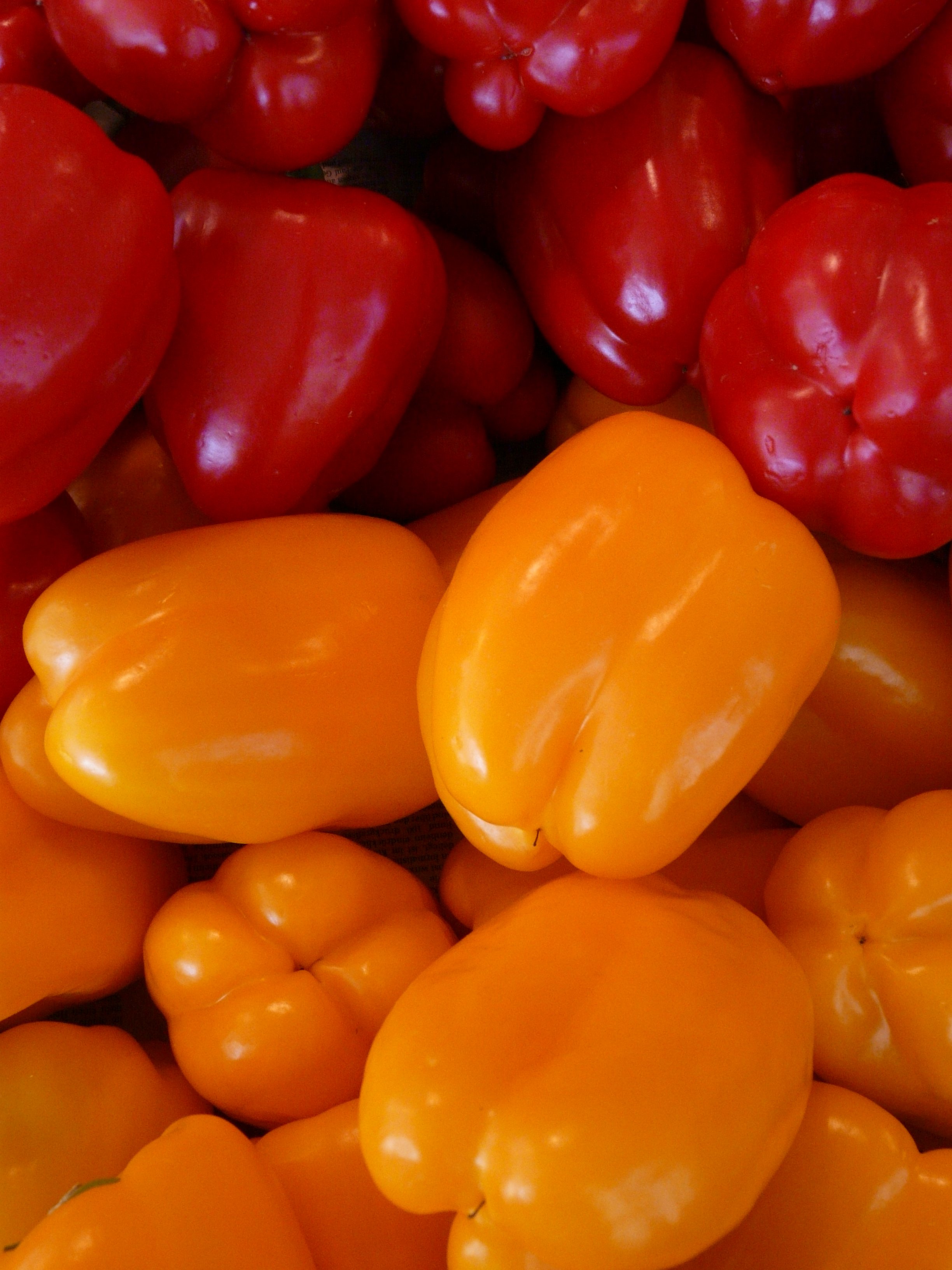 Paprika orange free image download