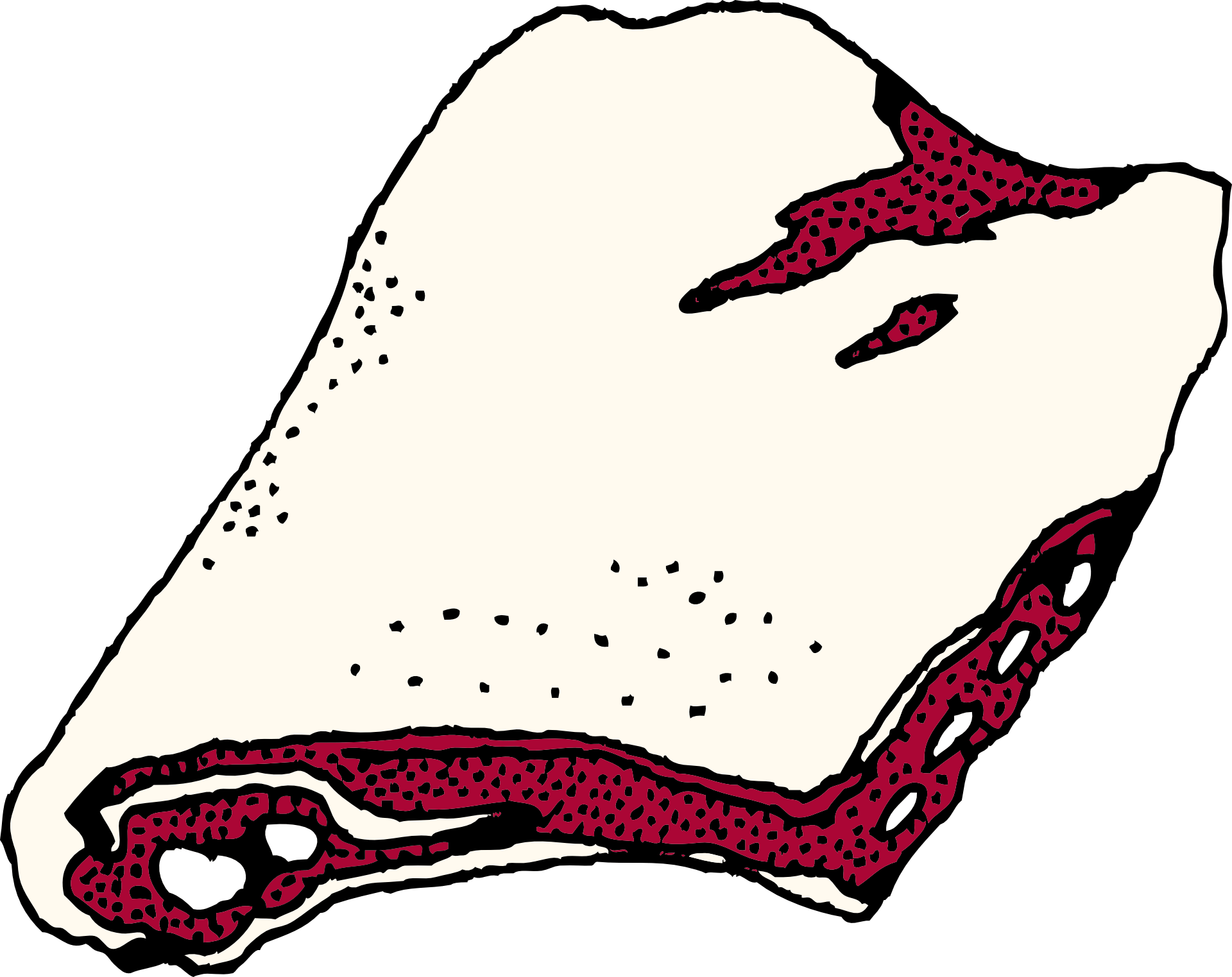 Beef meat ribs drawing free image download