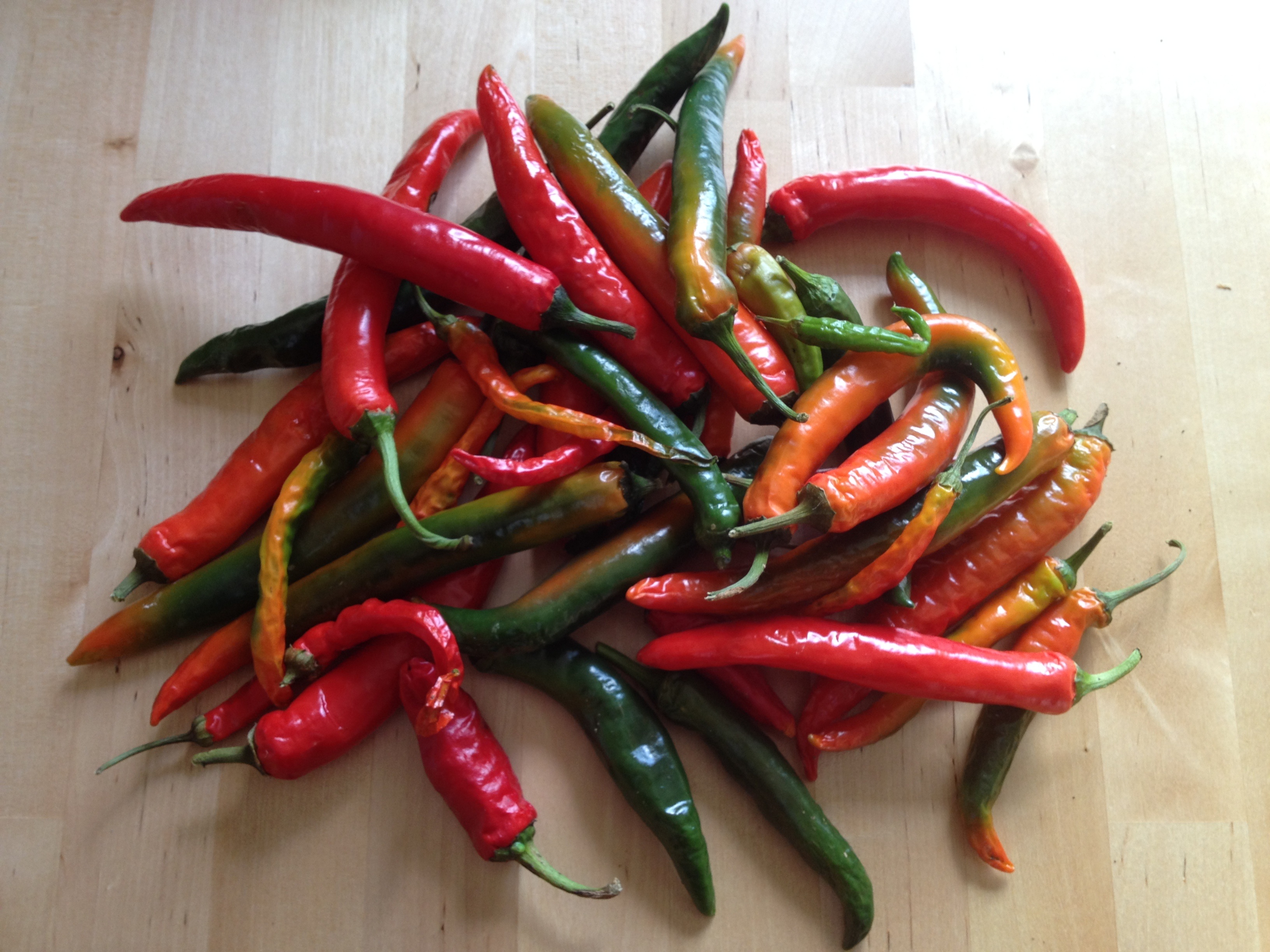Chili paprika free image download