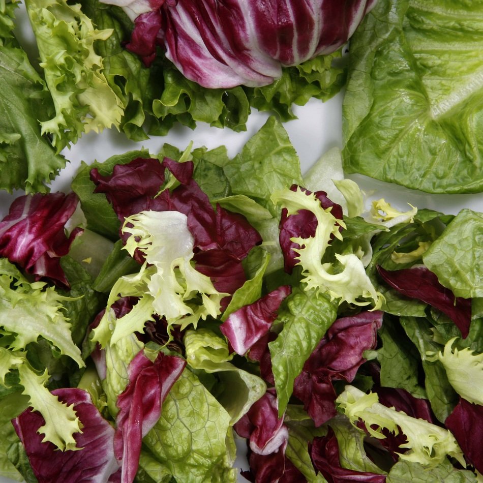 Green and purple lettuce leaves free image download