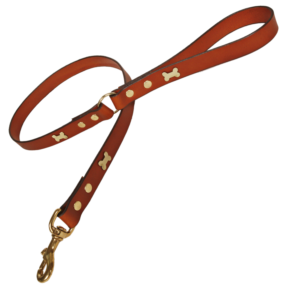 Coiled Dog Leash, Clip Art free image download