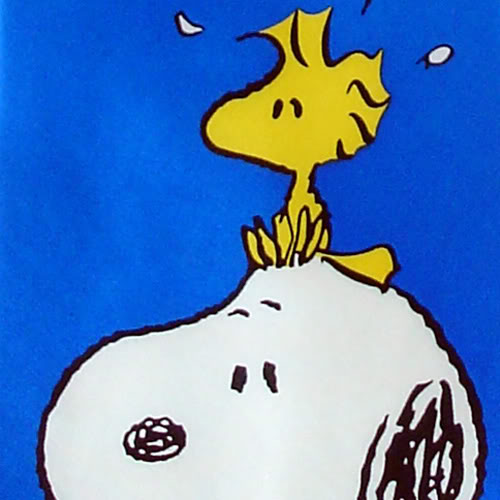 Snoopy Woodstock N9 free image download