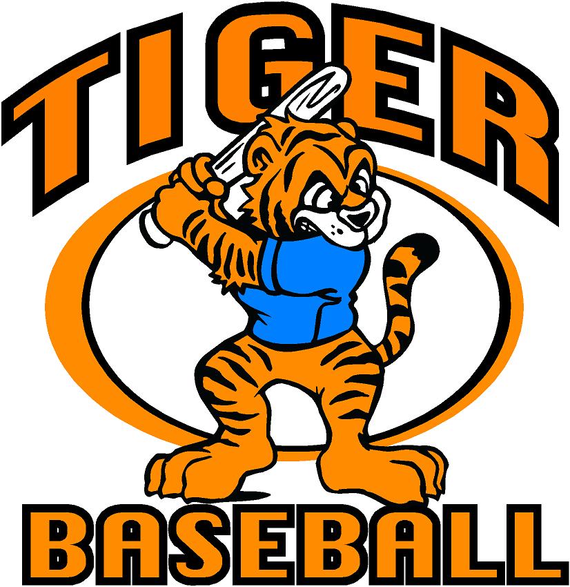 Tigers Baseball N2 free image download