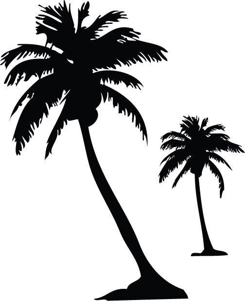 Palm Tree Wall Decals free image download