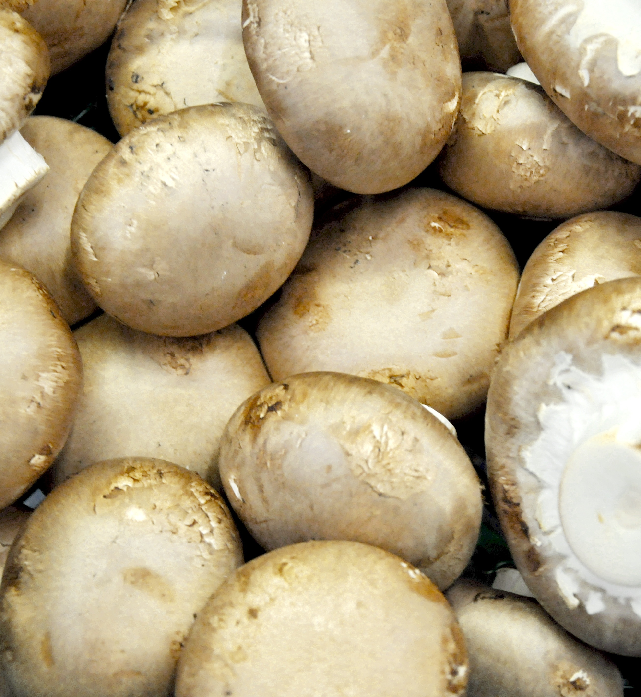 Mushroom vegetables free image download