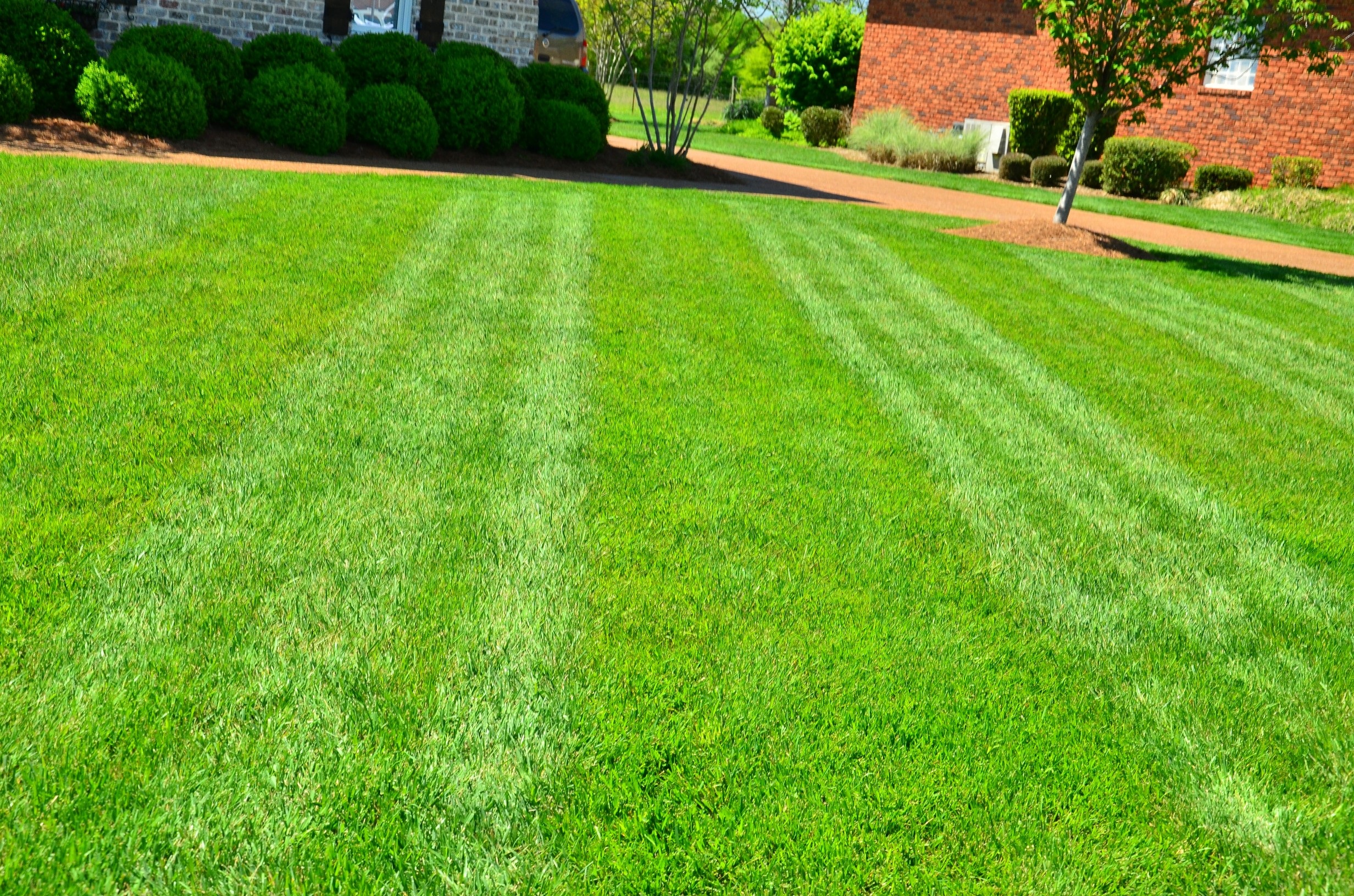 Grass cutting free image download
