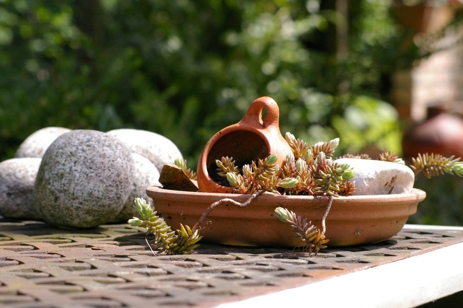 Ceramic garden pots free image download