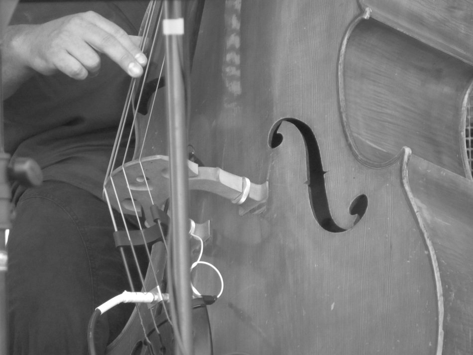 Double bass strings closeup free image download