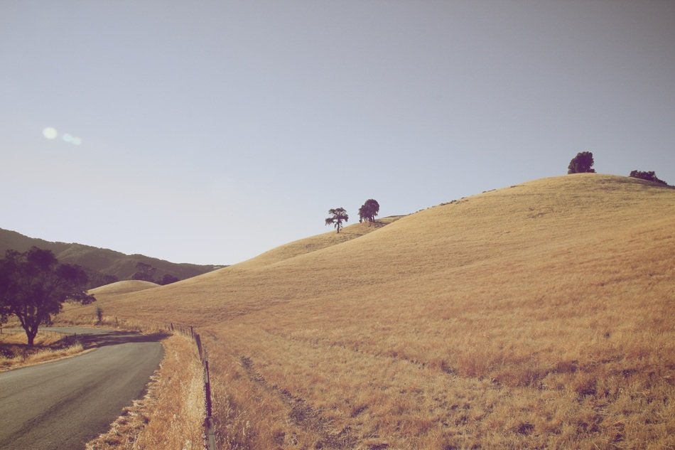Hillside road landscape free image download