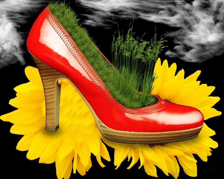 Red Shoe with grass inside on a yellow flower free image download