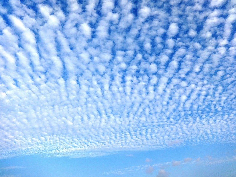 Cirrus white clouds in a bright blue sky free image download