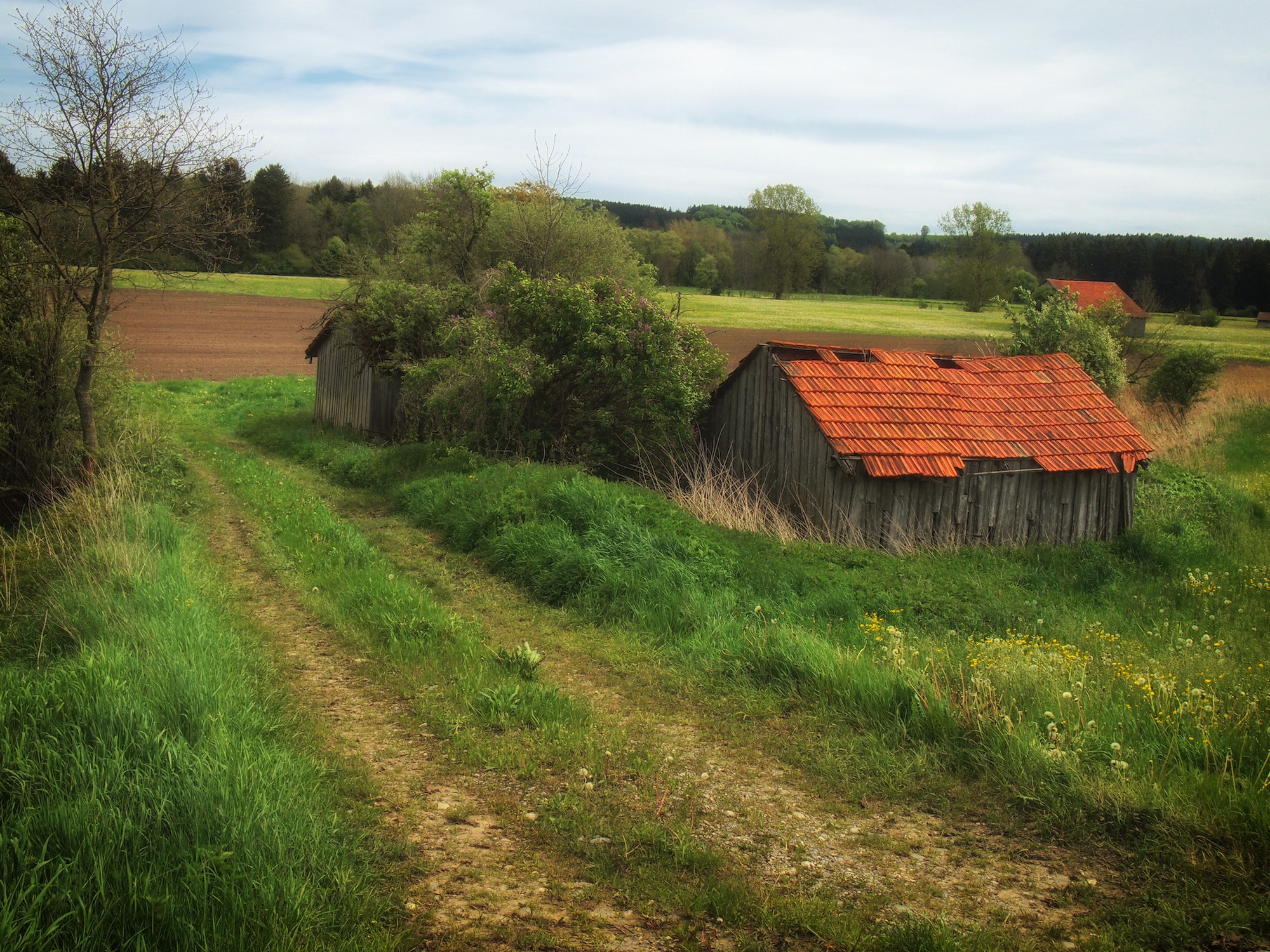 Farm in Germany free image download