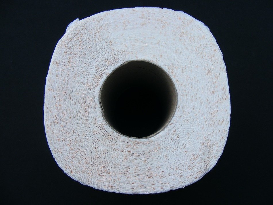 Toilet paper free image download