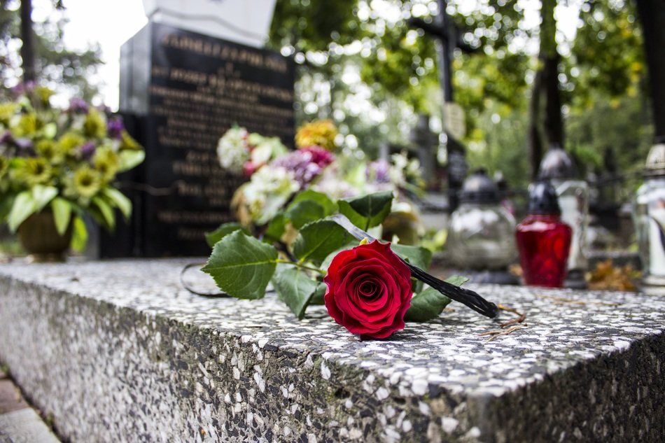 Red rose on the monument in cemetery free image download