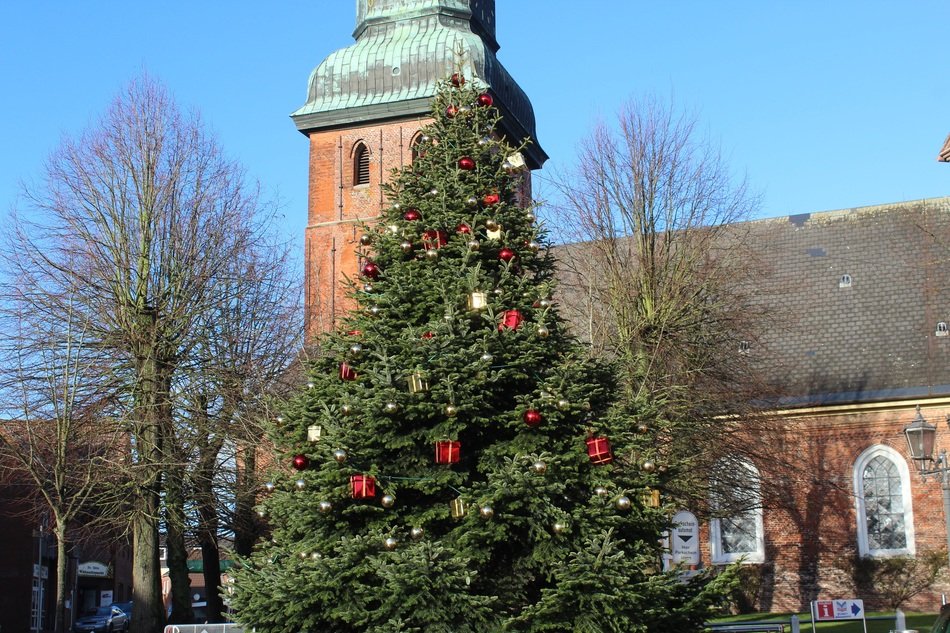 Christmas tree near a brick building free image download