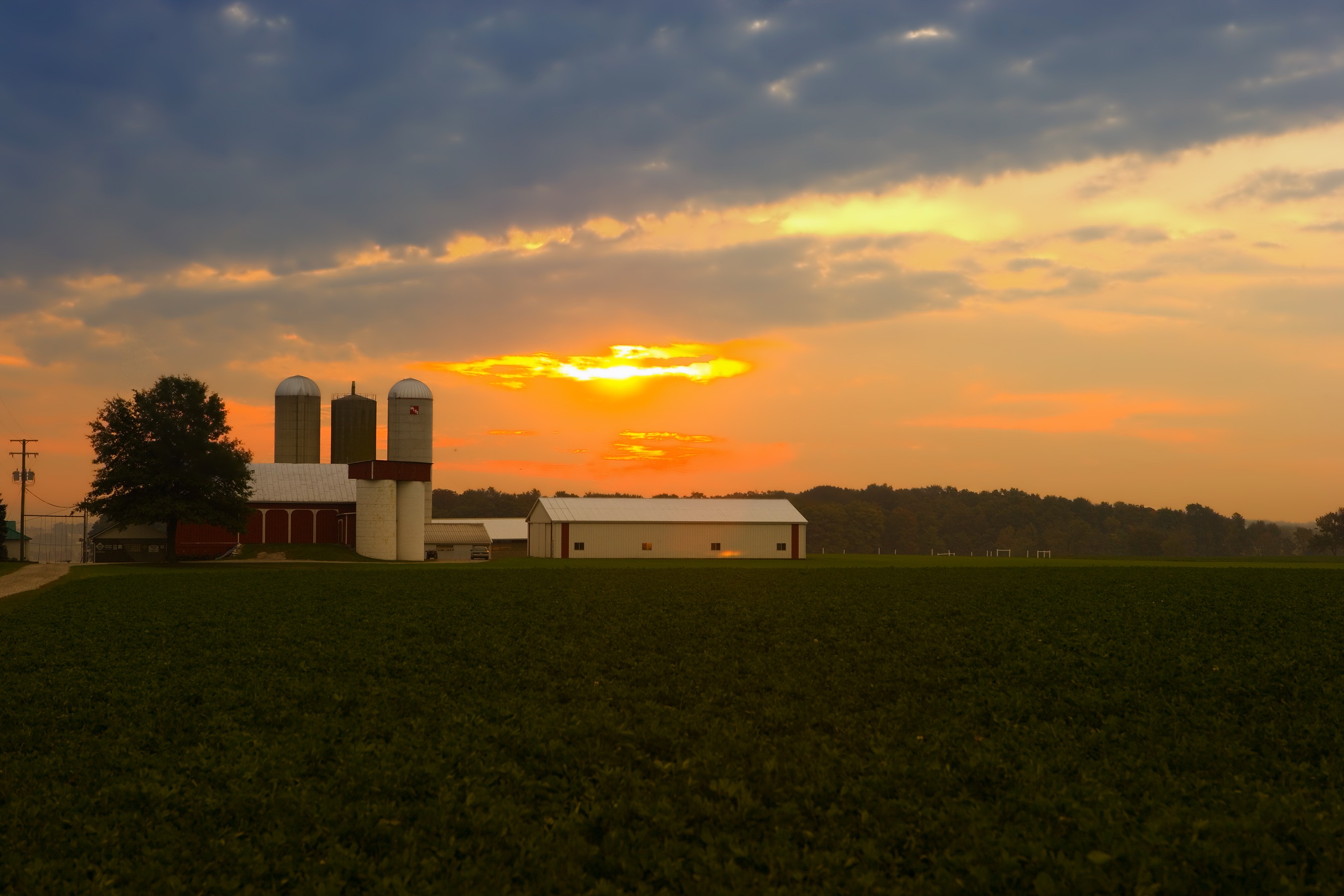 Yellow sunrise on a farm in ohio free image download