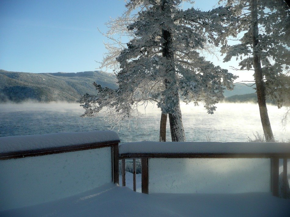 Frosty winter lake, canim lake, british columbia, canada free image download