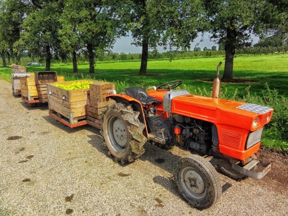 Tractor with fruit harvest on farm in Netherlands free image download