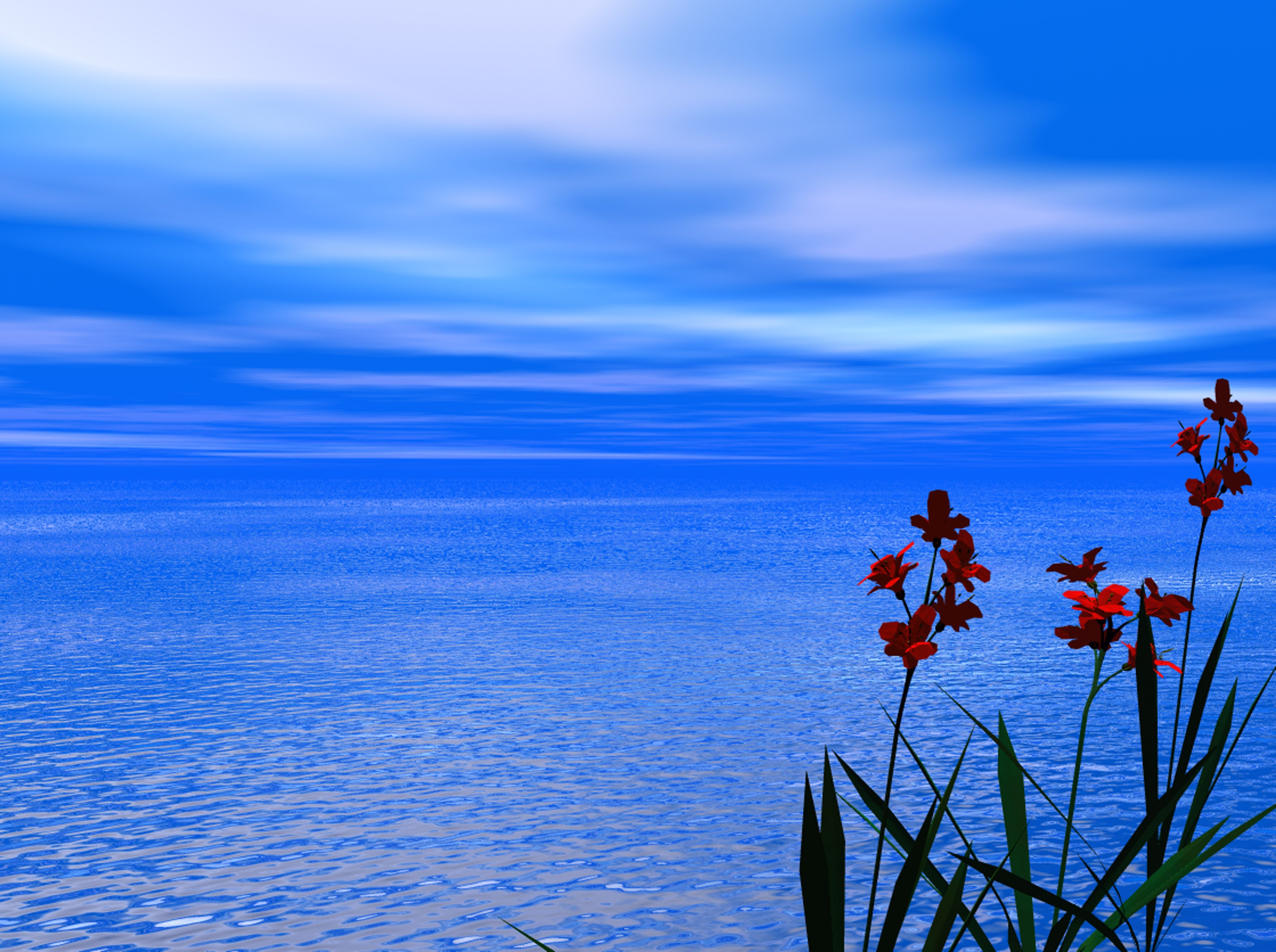Red flowers near the ocean free image download