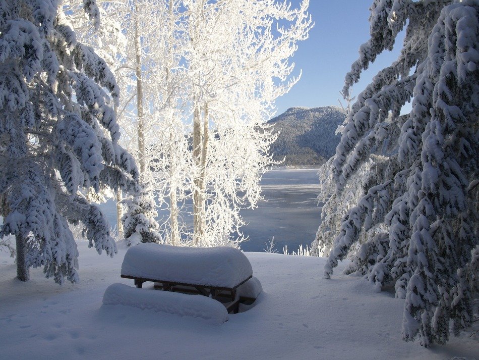 Canim lake at winter, canada, british columbia free image download