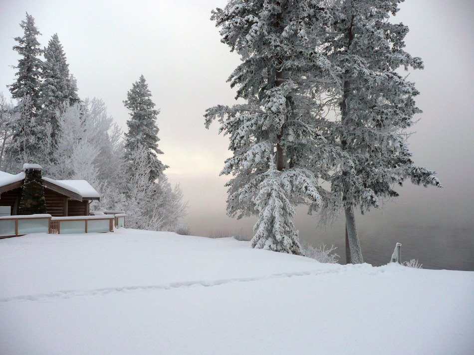 Winter at canim lake, canada, british columbia free image download