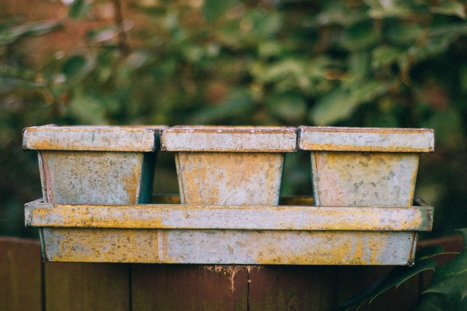 Old plant pots free image download