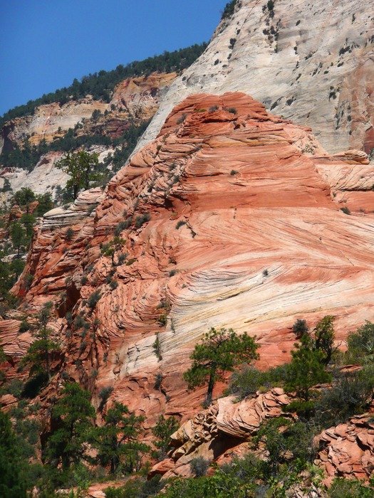 Rock formations in Zion National Park, Utah free image download