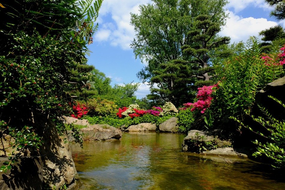 Absolutely japanese garden free image download