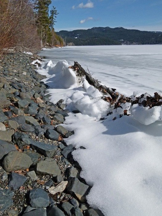 Coast of frozen canim lake, canada, british columbia free image download