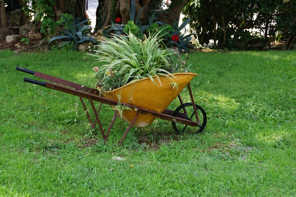 Yellow garden cart in the park free image download