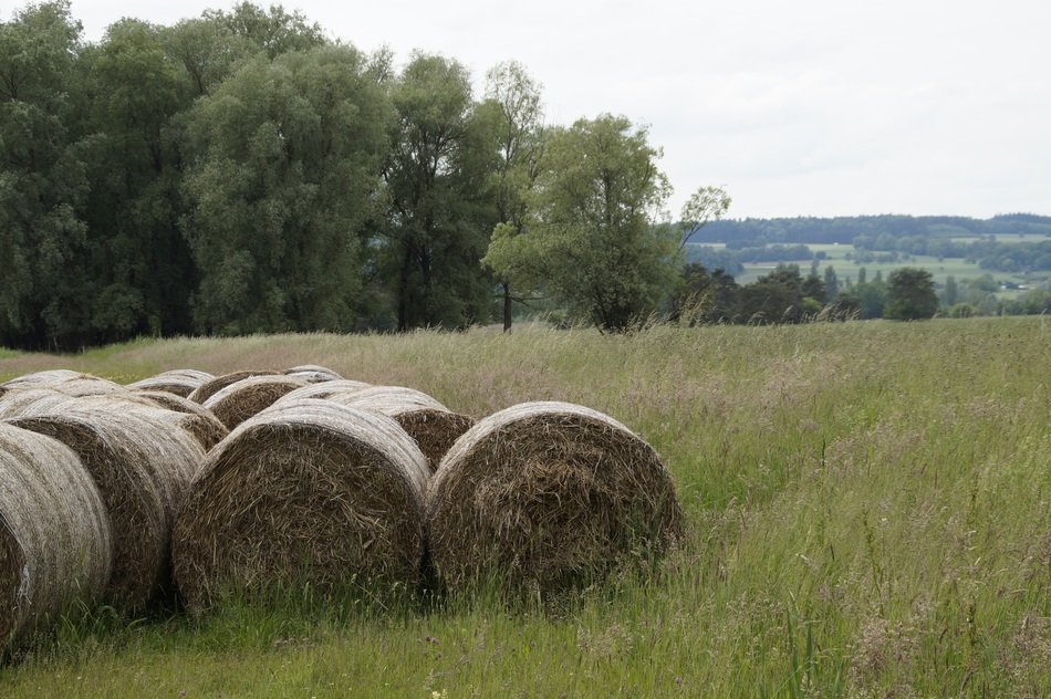 Stacked together hay bales free image download