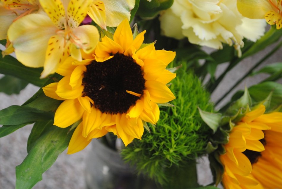 Yellow sunflower bouquet free image download