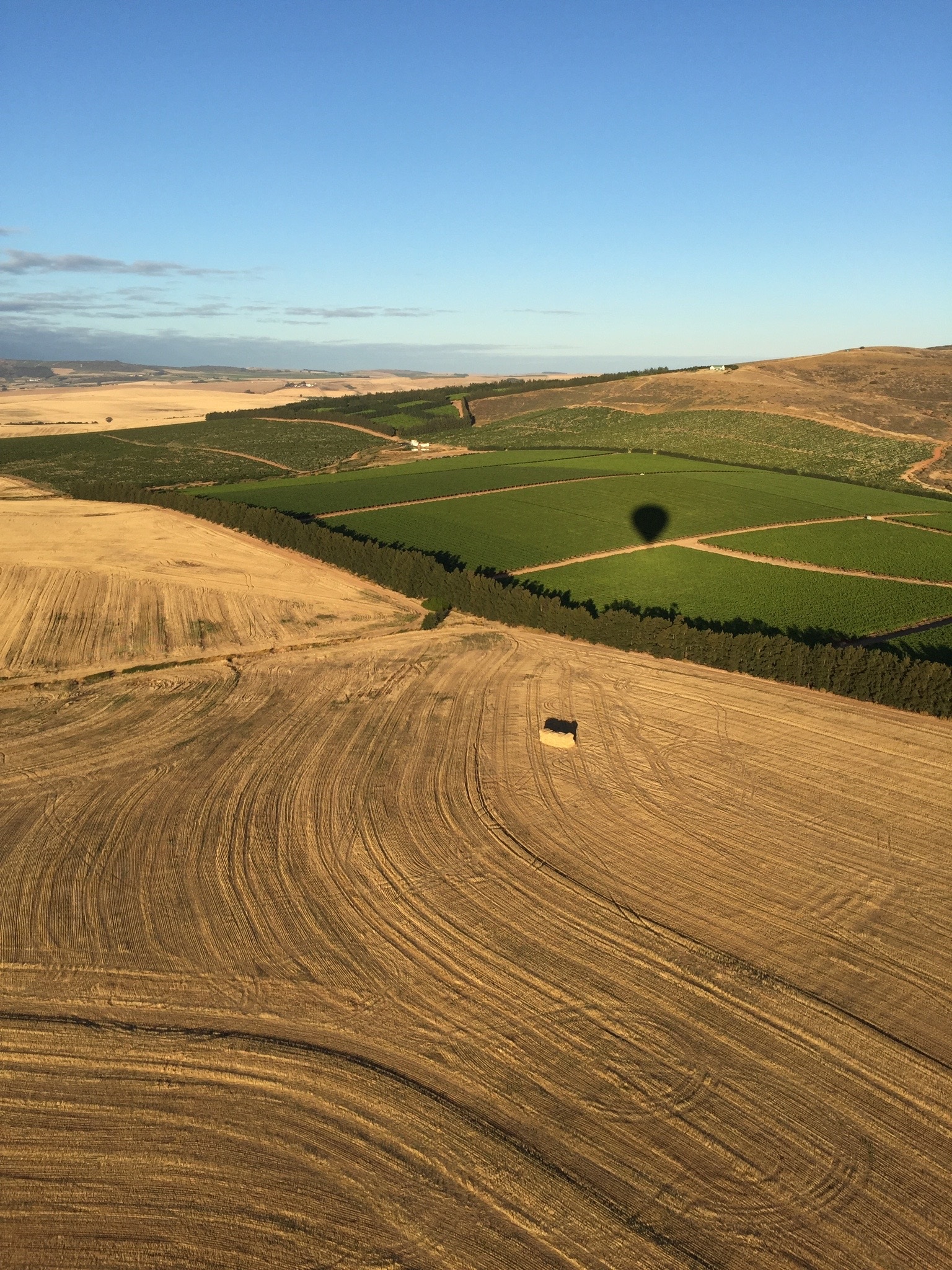 Arable field in Paarl, South Africa free image download