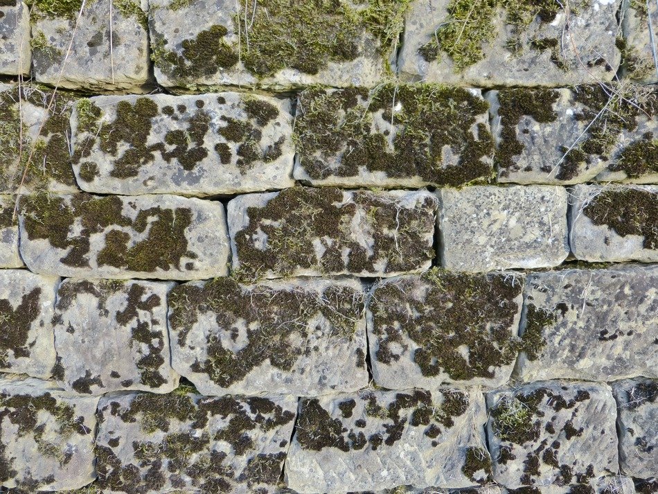 Stone wall in green moss free image download