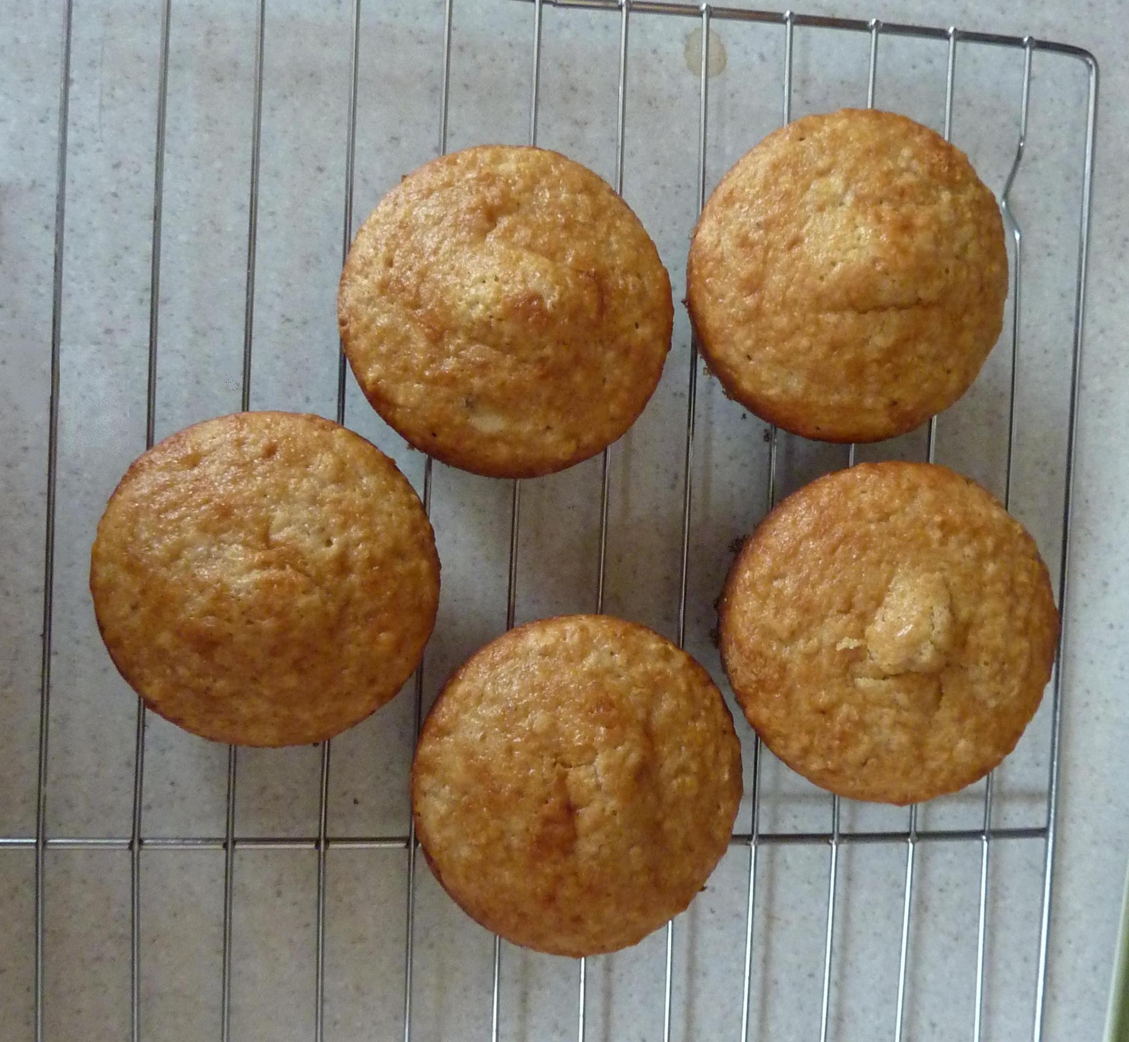 Fresh baked muffins free image download