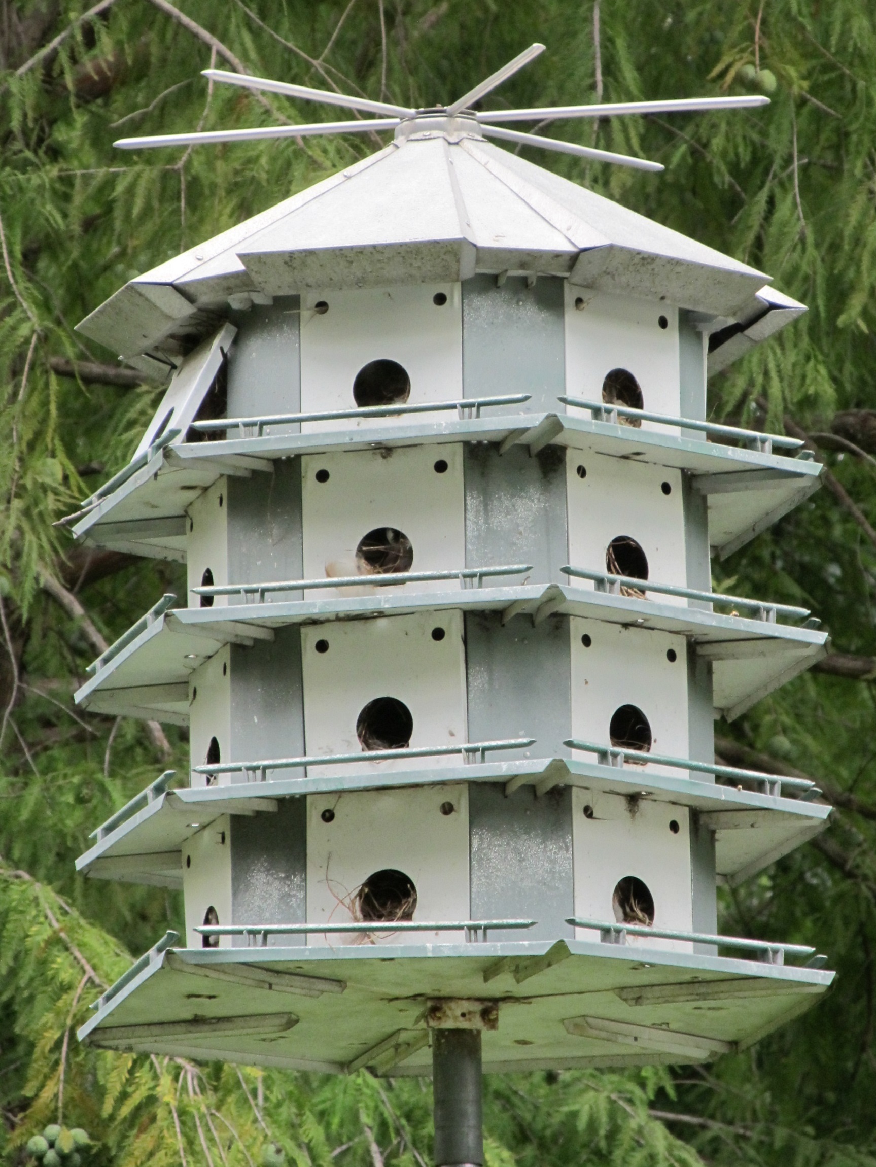 Amasing bird house condo hotel free image download