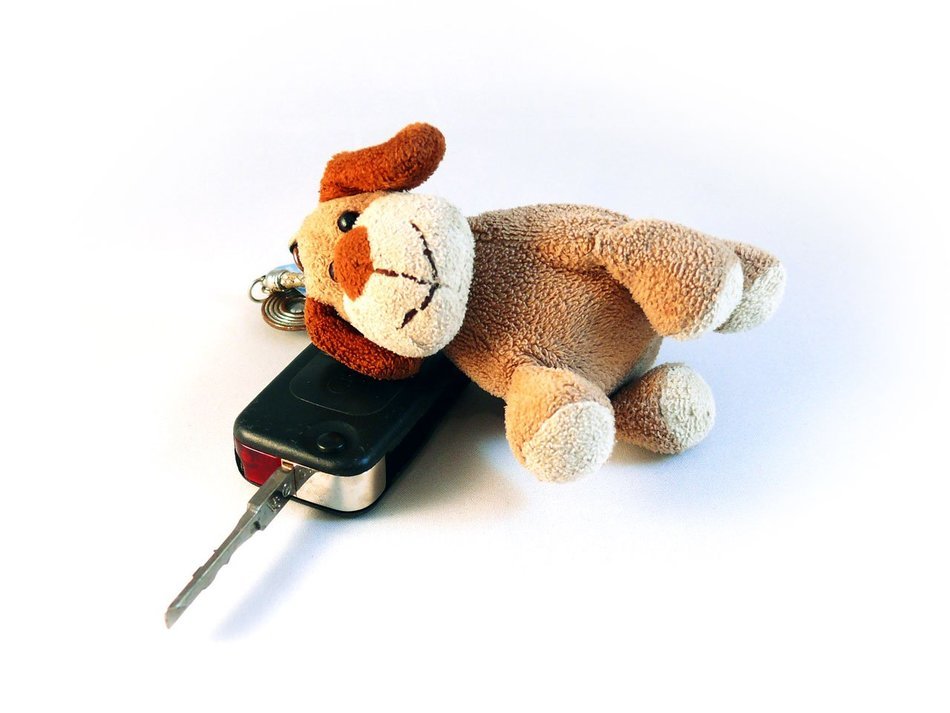 Car keys case dog toy free image download