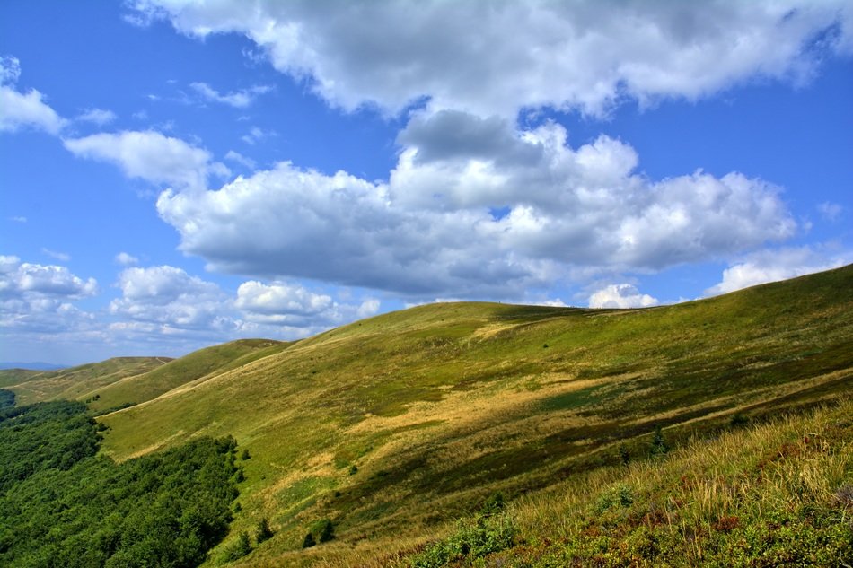 Bieszczady mountains in summer free image download