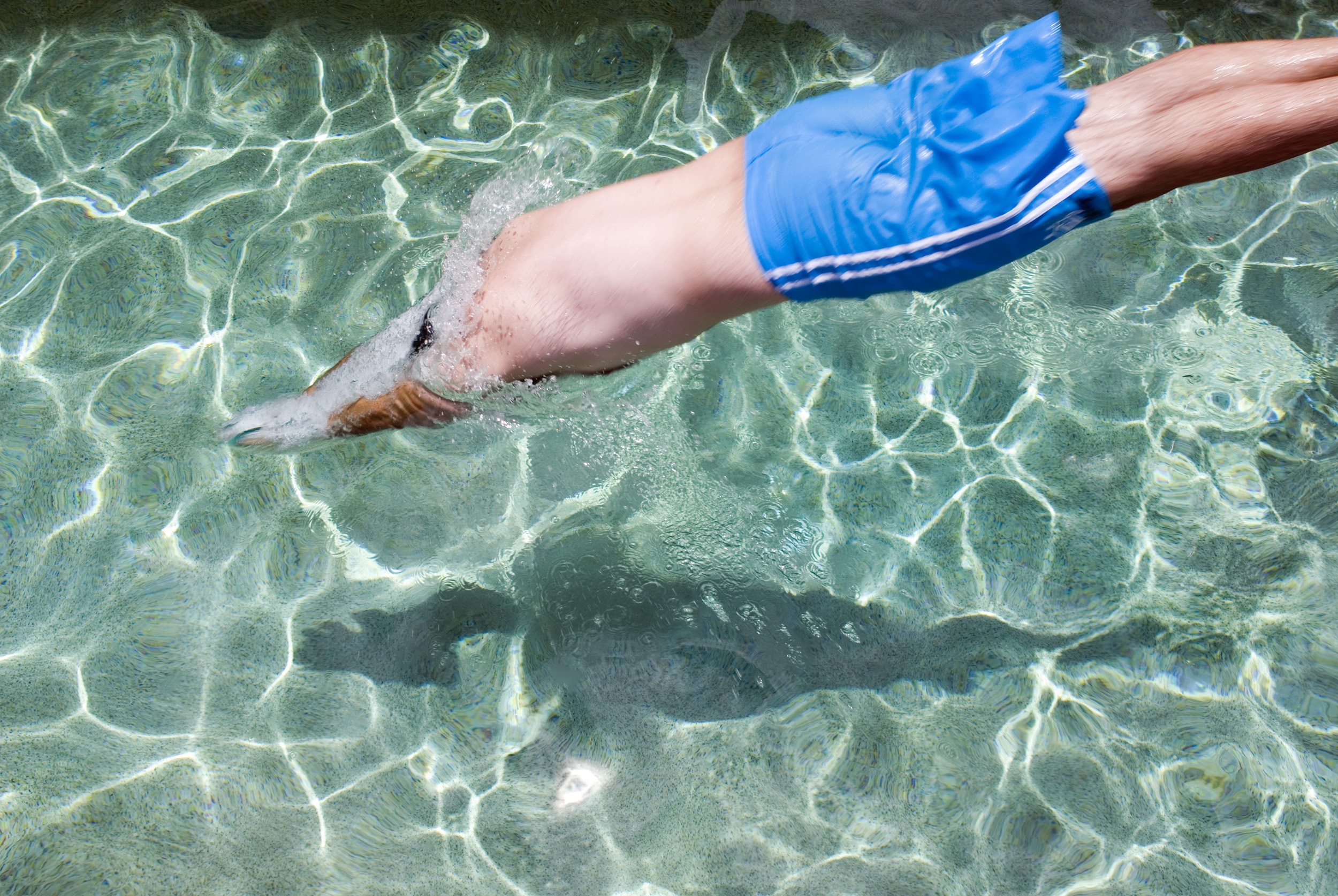 Man in blue shorts dives in clear water free image download