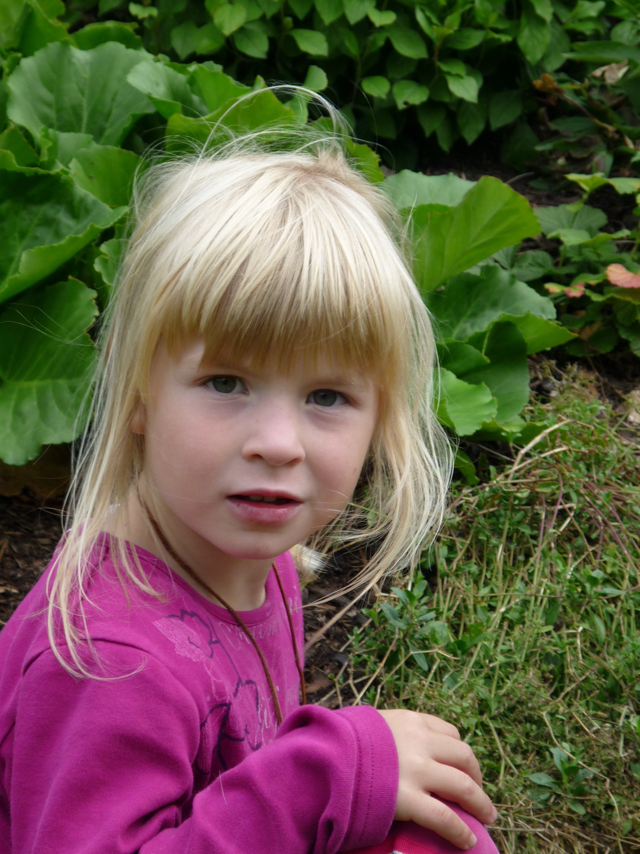 Little girl with white hair sits near a green bush free image