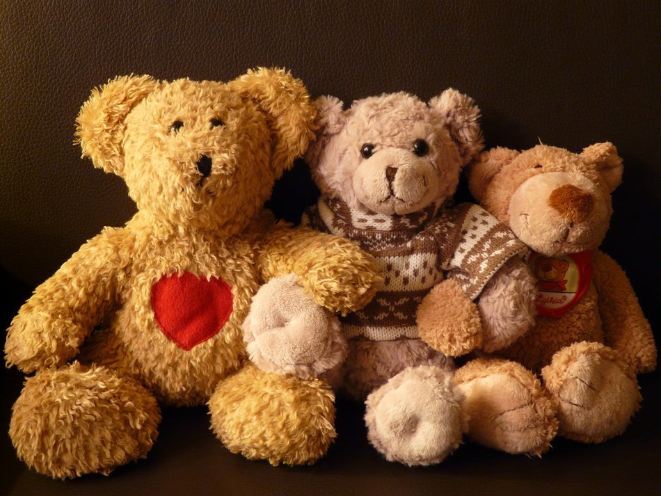 Teddy bears toys free image download