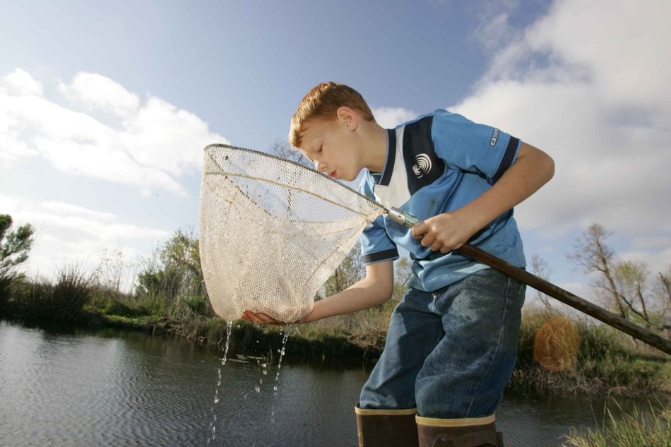 Fish catches boy free image download