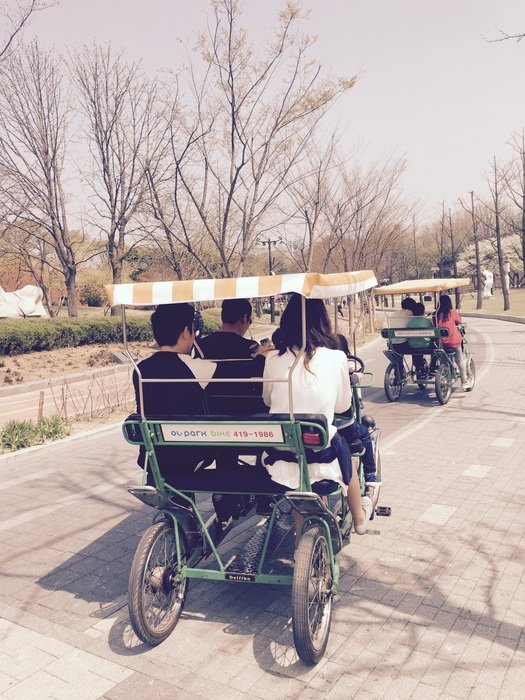 Picnic bike free image download