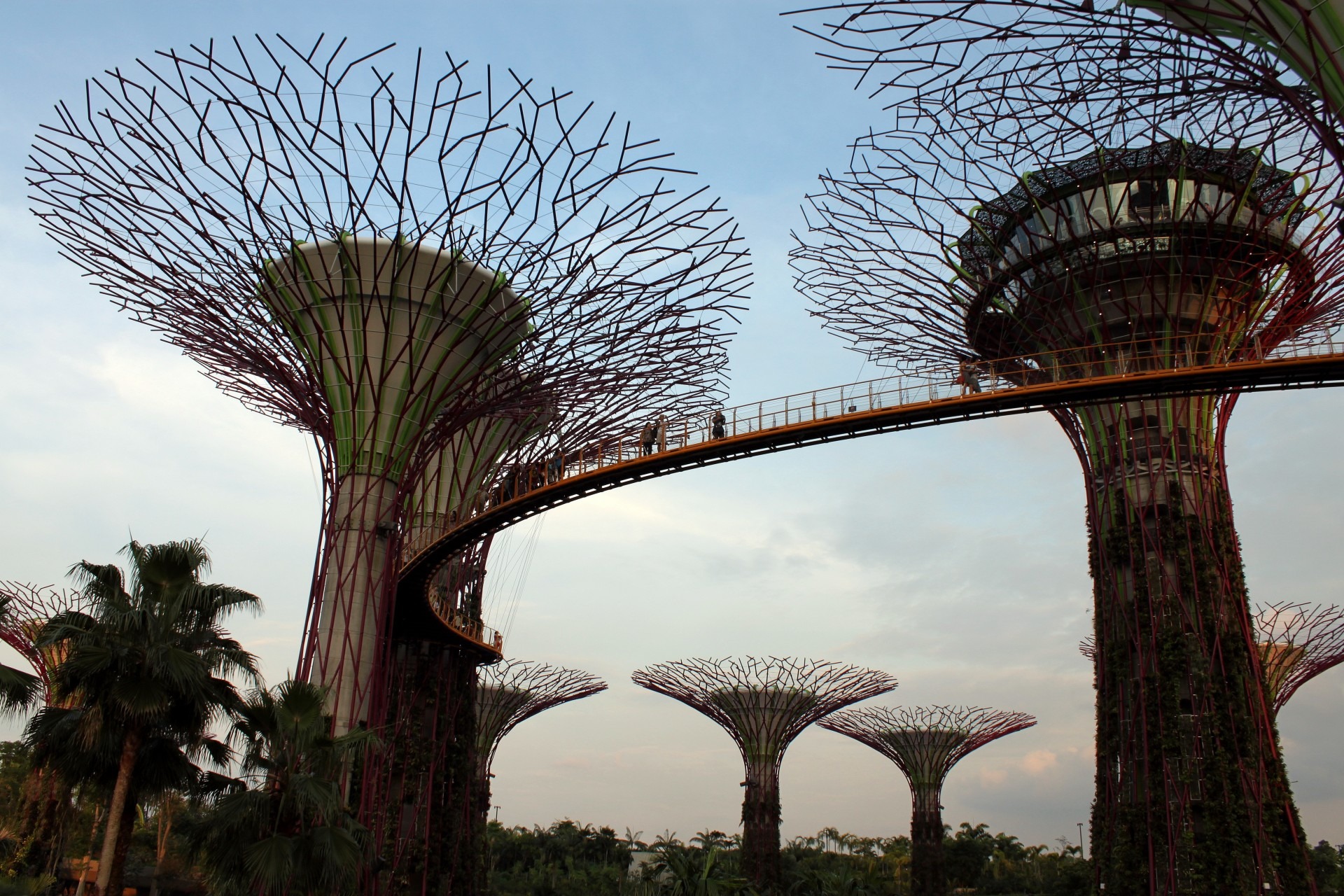Modern artificial trees in a park in Singapore free image download
